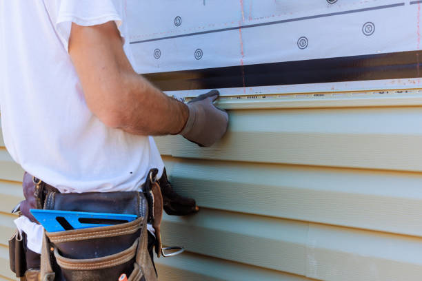 Affordable Siding Replacement solutions in Dendron, VA